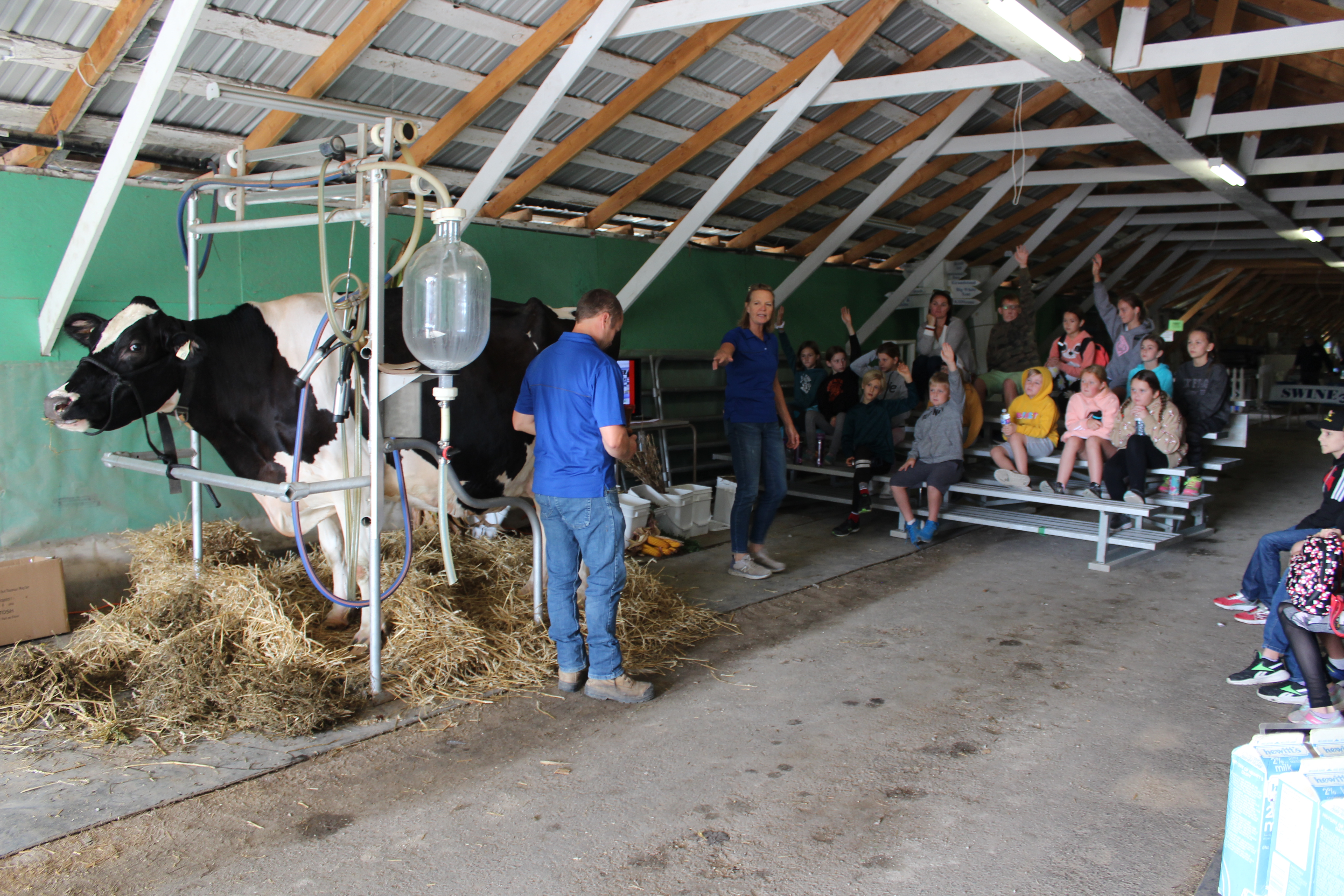 Featured image for Agstravaganza showcases local ag for Grade 5 students