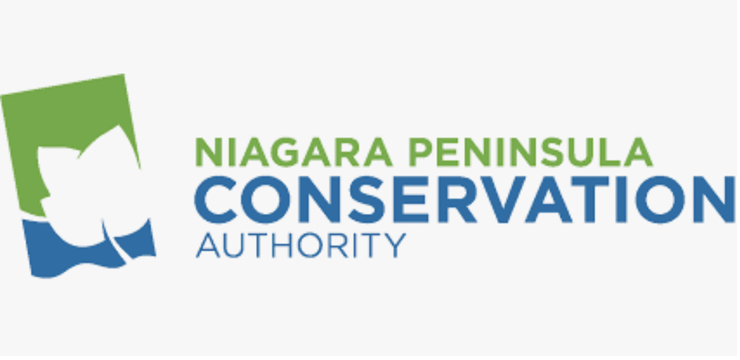 Featured image for NPCA CAO identifies “major concerns” with new  Provincial housing act
