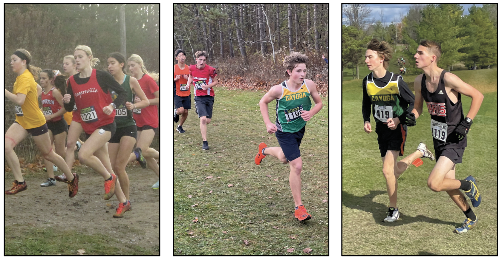 Featured image for Three local cross country athletes compete at OFSAA 2022