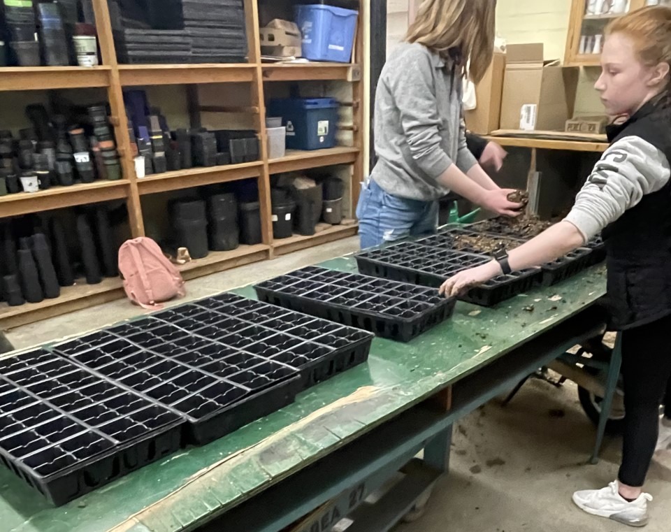 Featured image for HSS preps for spring plant sale