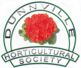 Featured image for DHS winter update