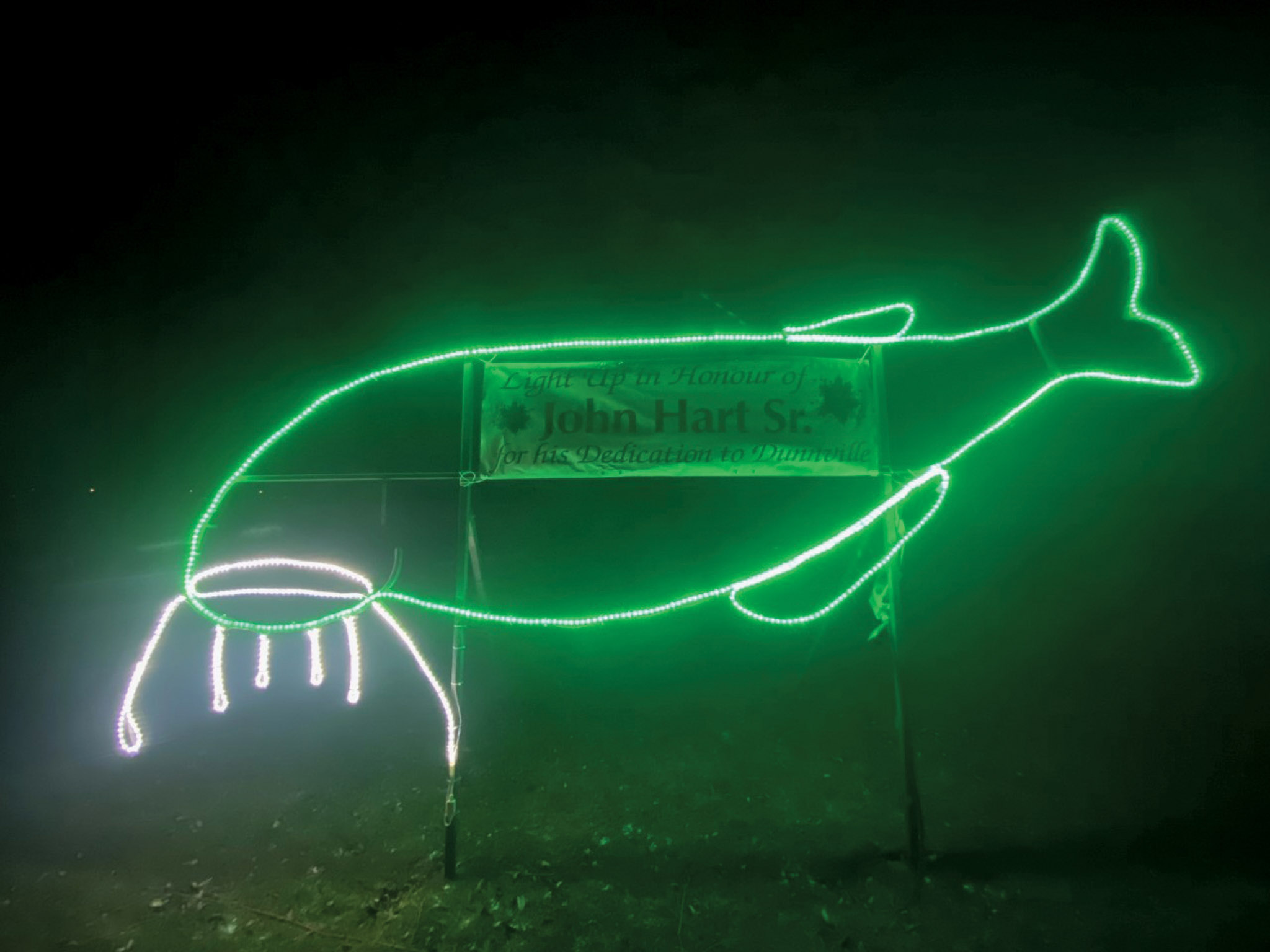 Featured image for Dunnville Light Up display  dedicated to John Hart Sr.