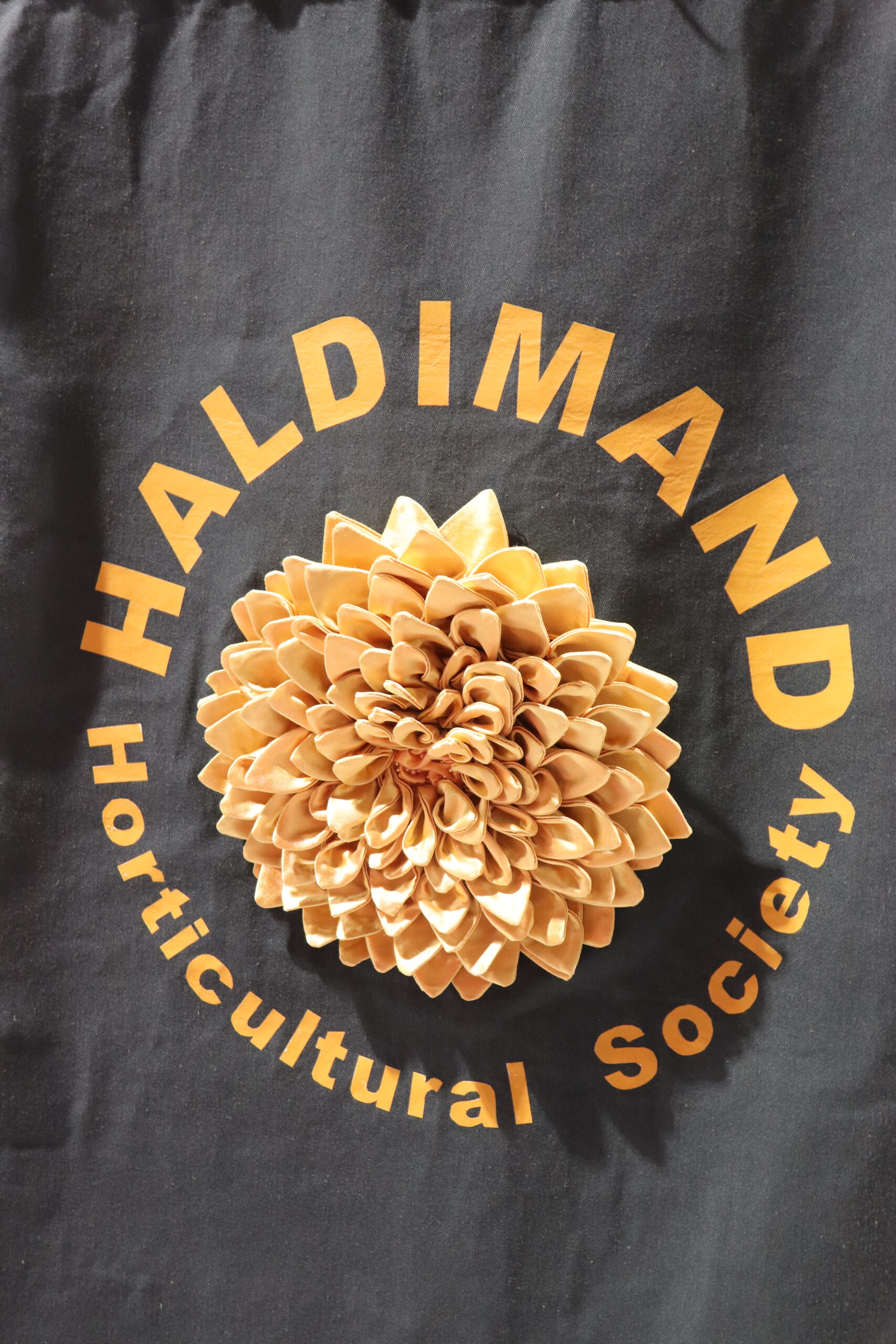 Featured image for December Haldimand Horticultural Society News