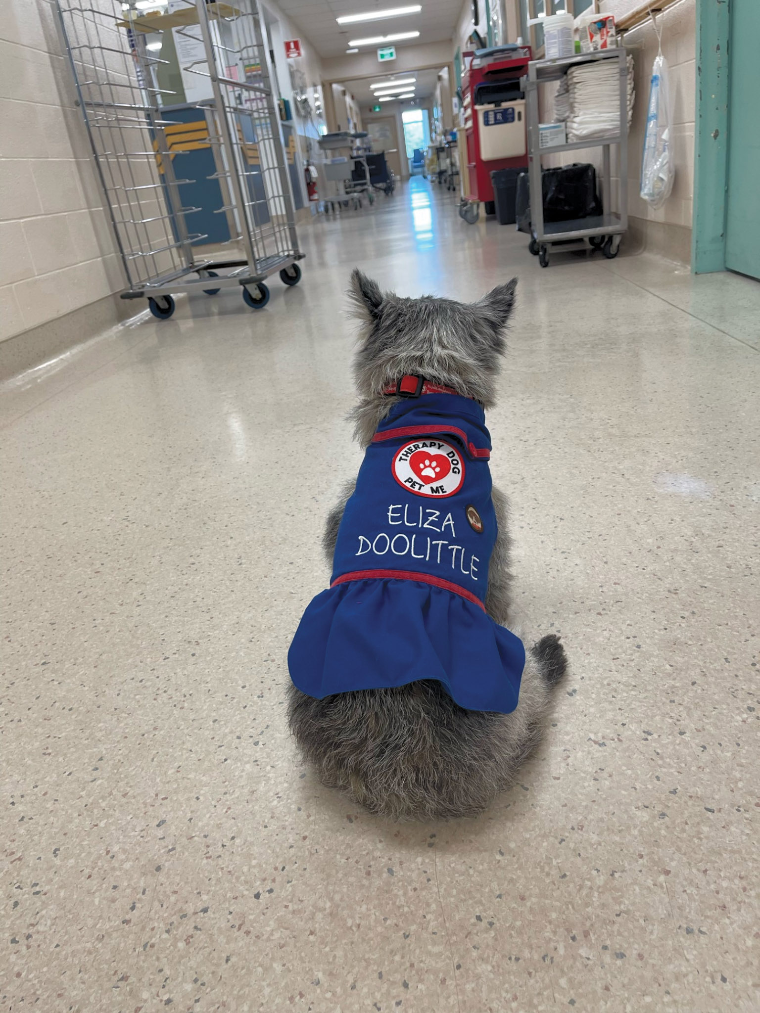 Featured image for Eliza back on duty