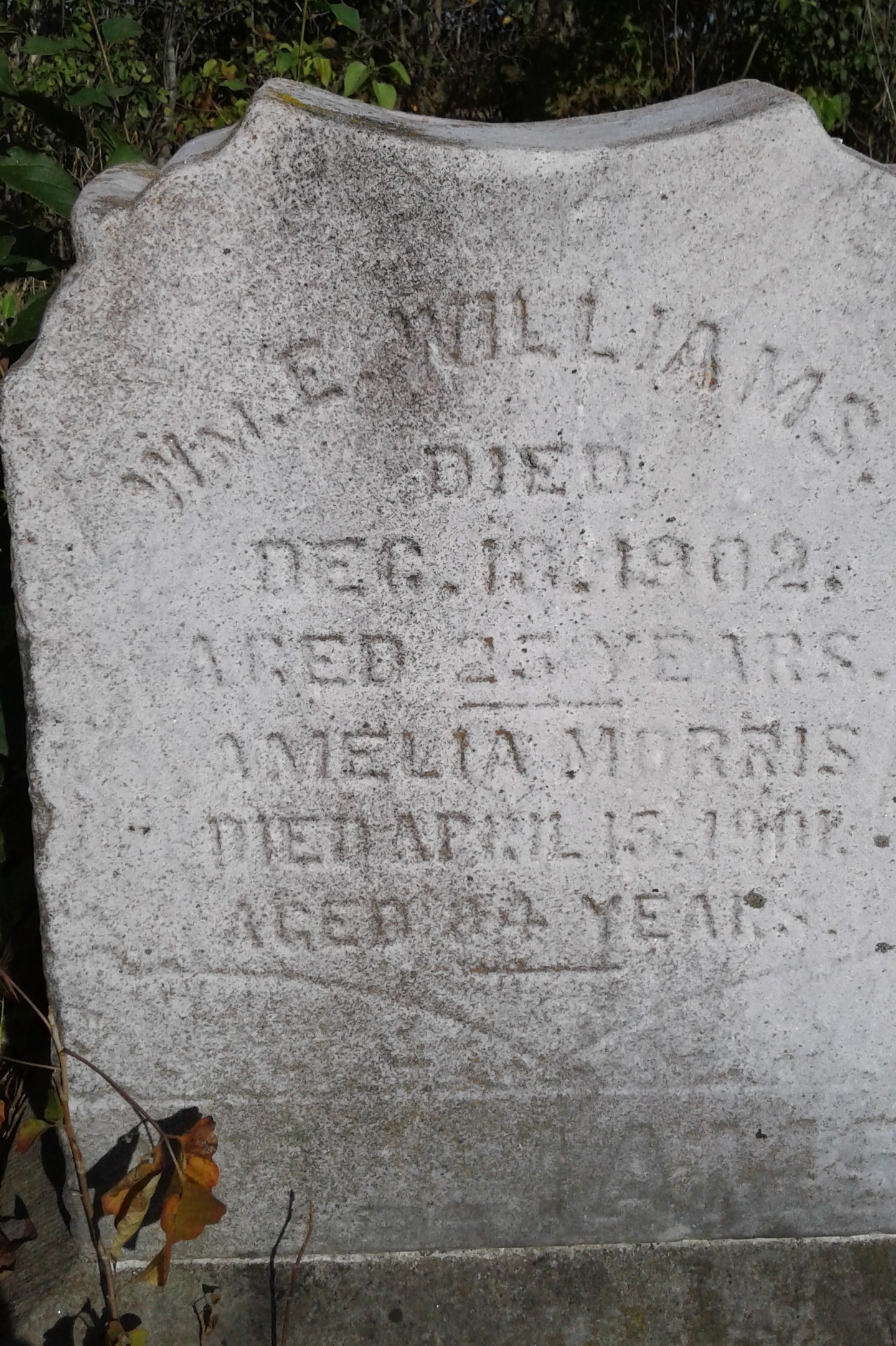 Featured image for Unlicensed cemetery on private land highlights need to protect local history