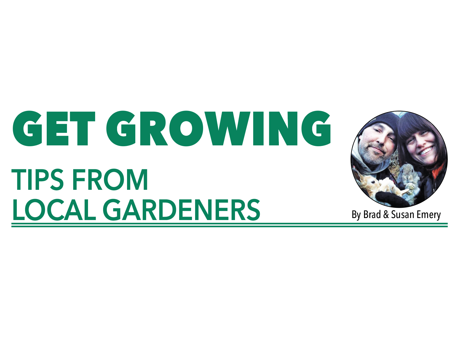 Featured image for Get Growing: Plant a sensory garden for your pooch