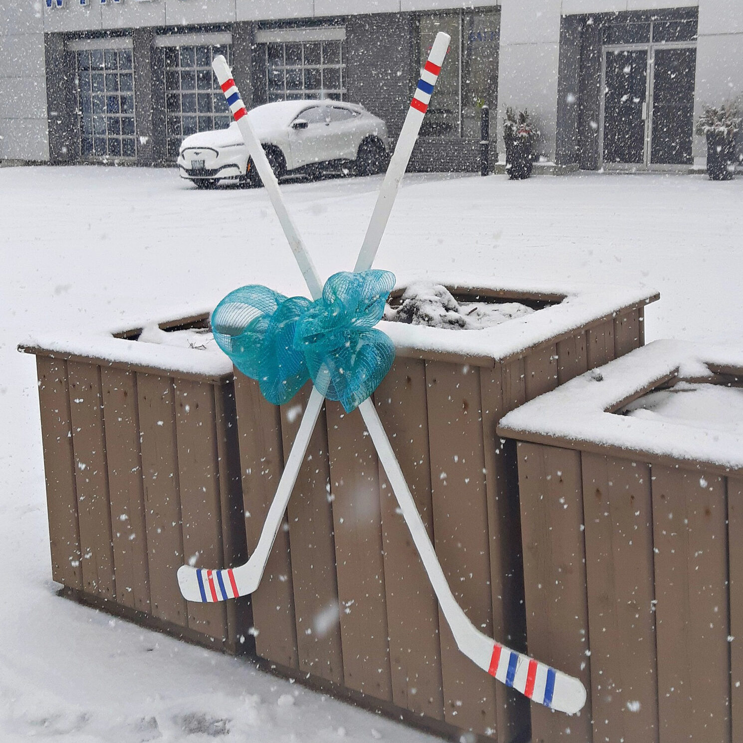 Featured image for Cabbage Roll Cup coming to Caledonia this March