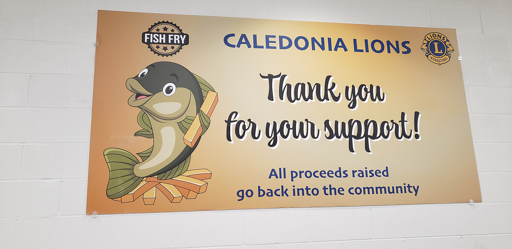 Featured image for Lions and tigers and fish – oh my!