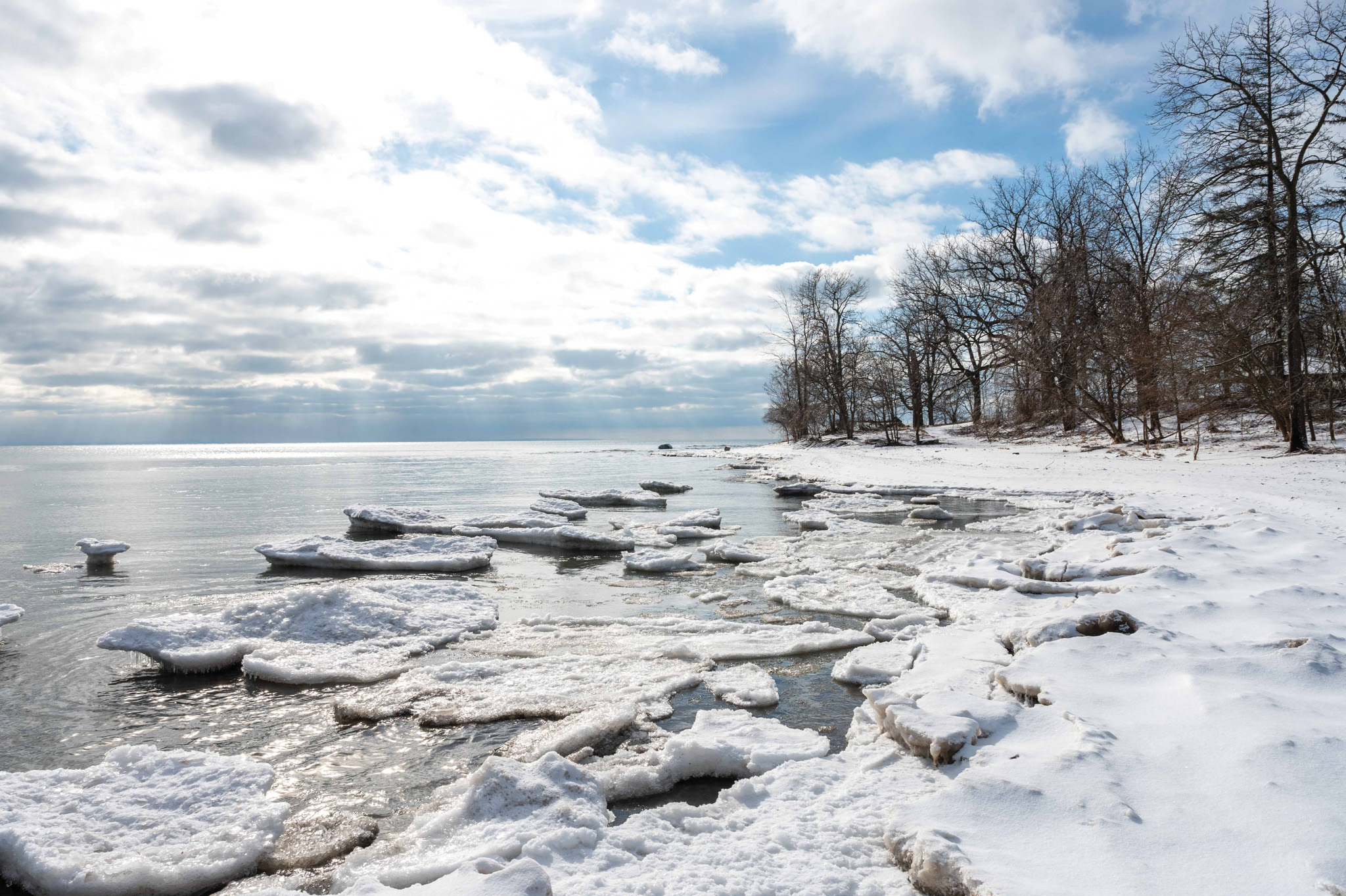 Featured image for Collaboration key to strengthening shoreline says NPCA