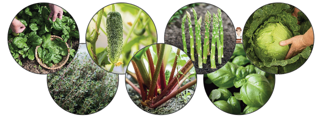 Featured image for Spring produce is closer than you think