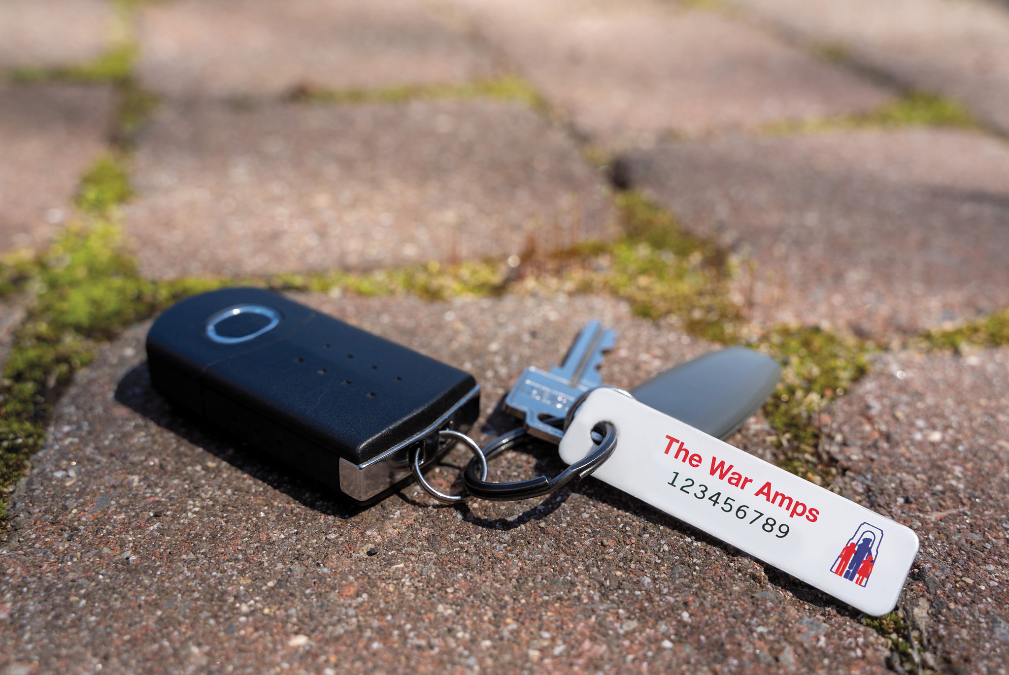 Featured image for War Amps tags now in Hagersville