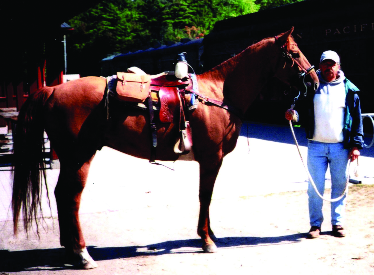 Featured image for HASTINGS, Edward Harland “Ed”