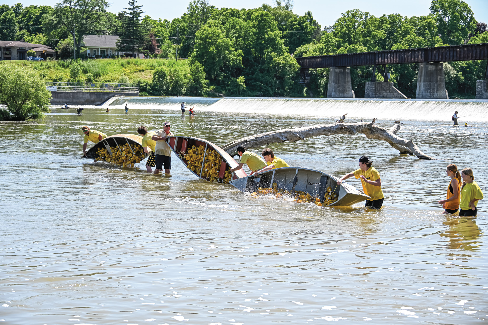 Featured image for Steven Young Duck Race winners announced