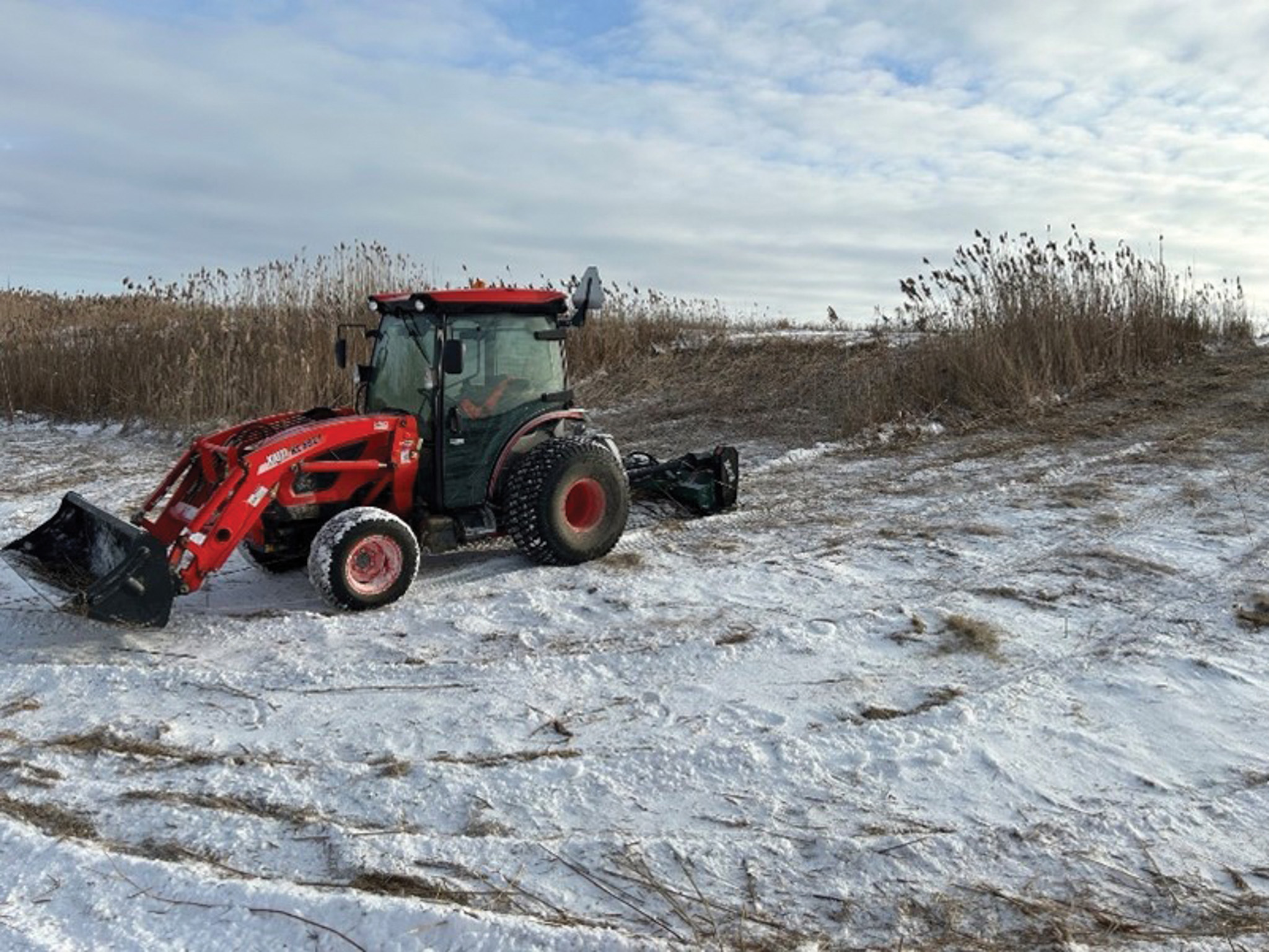 Featured image for Phragmites Action program celebrates success in supporting projects
