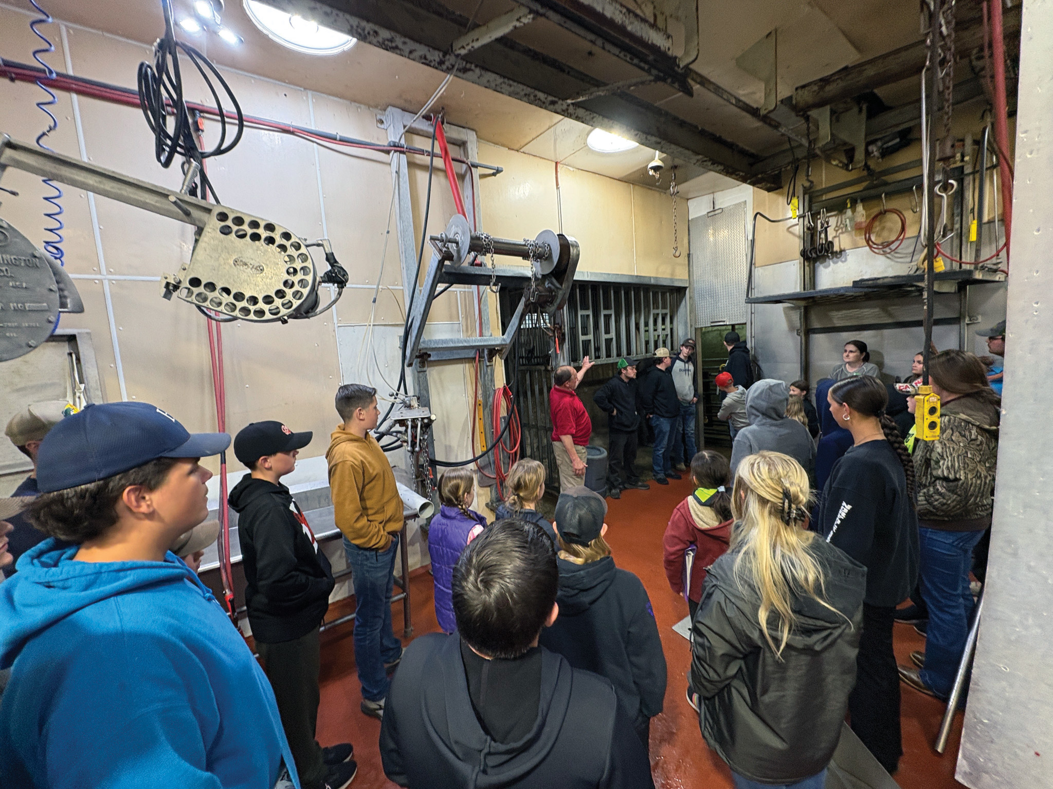 Featured image for 4-H Beef Club visits DeKoning Meats