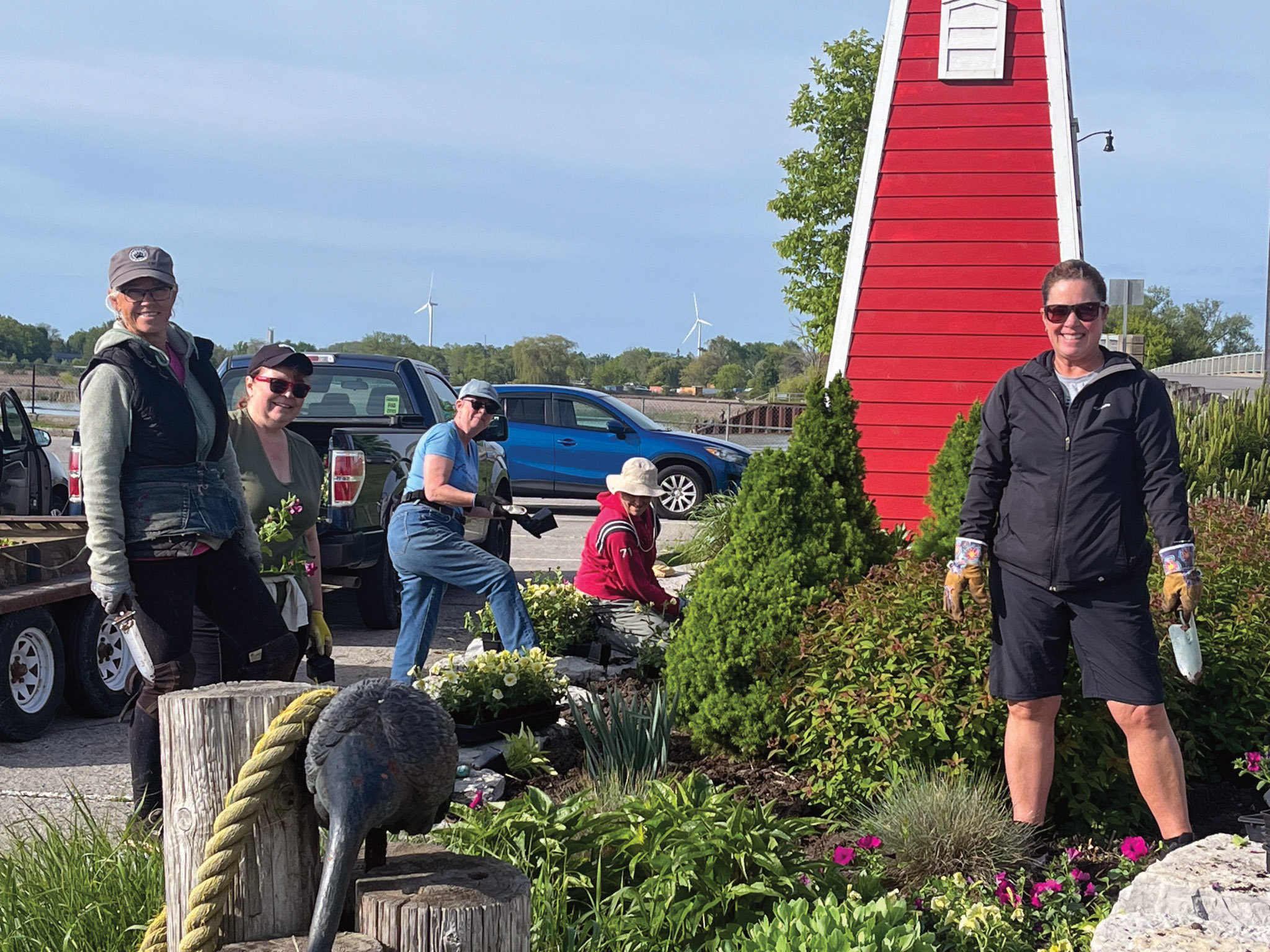 Featured image for DHS plants seeds of summer