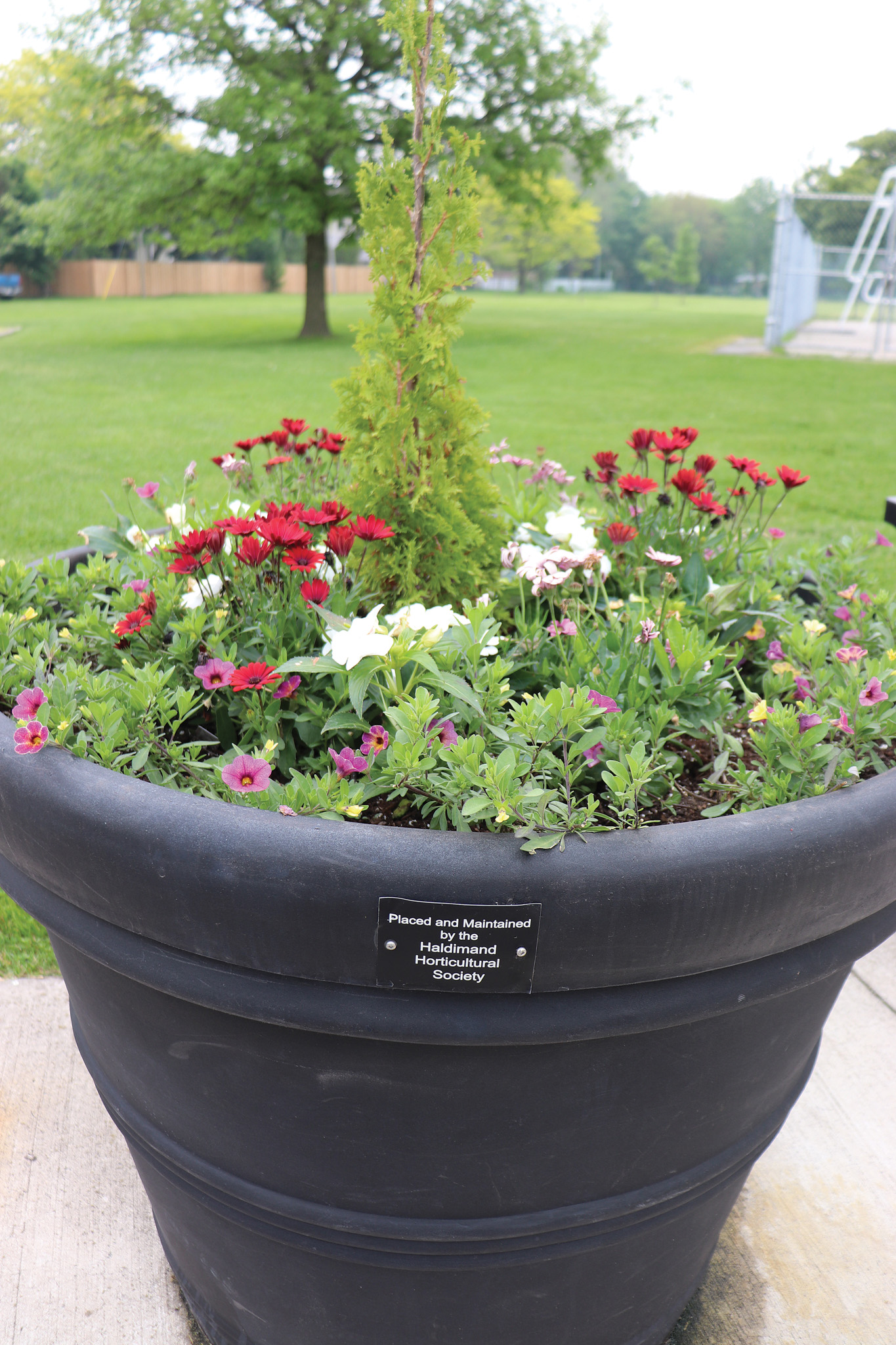 Featured image for HHS June update