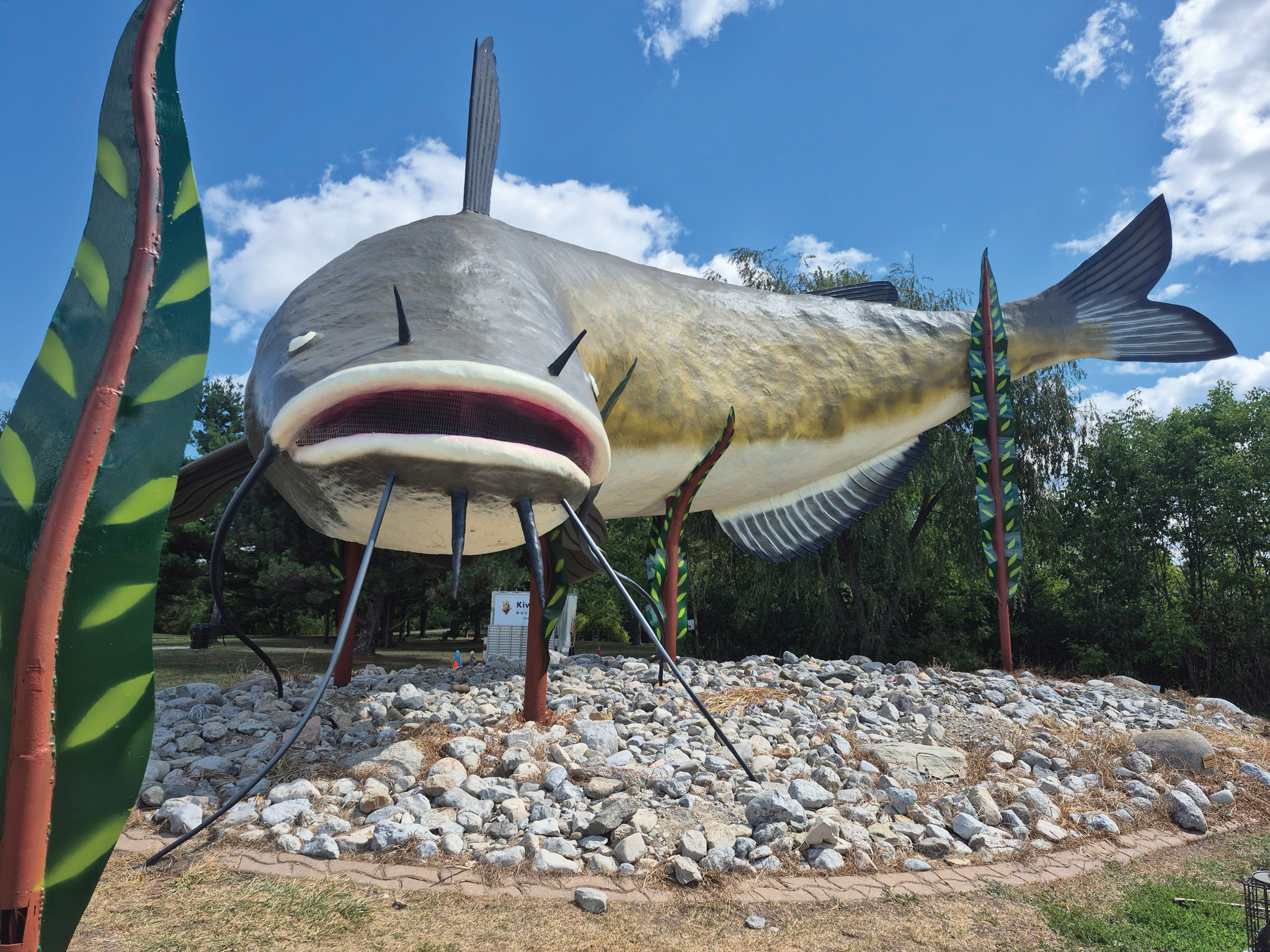 Featured image for Dunnville’s iconic Muddy the Mudcat receives a facelift