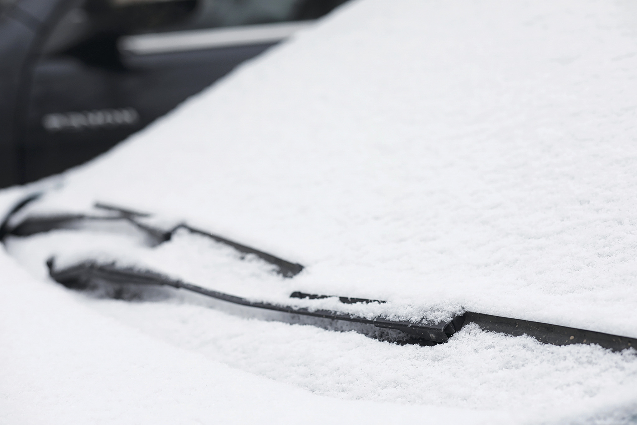 Featured image for Haldimand blasted by polar vortex and snow