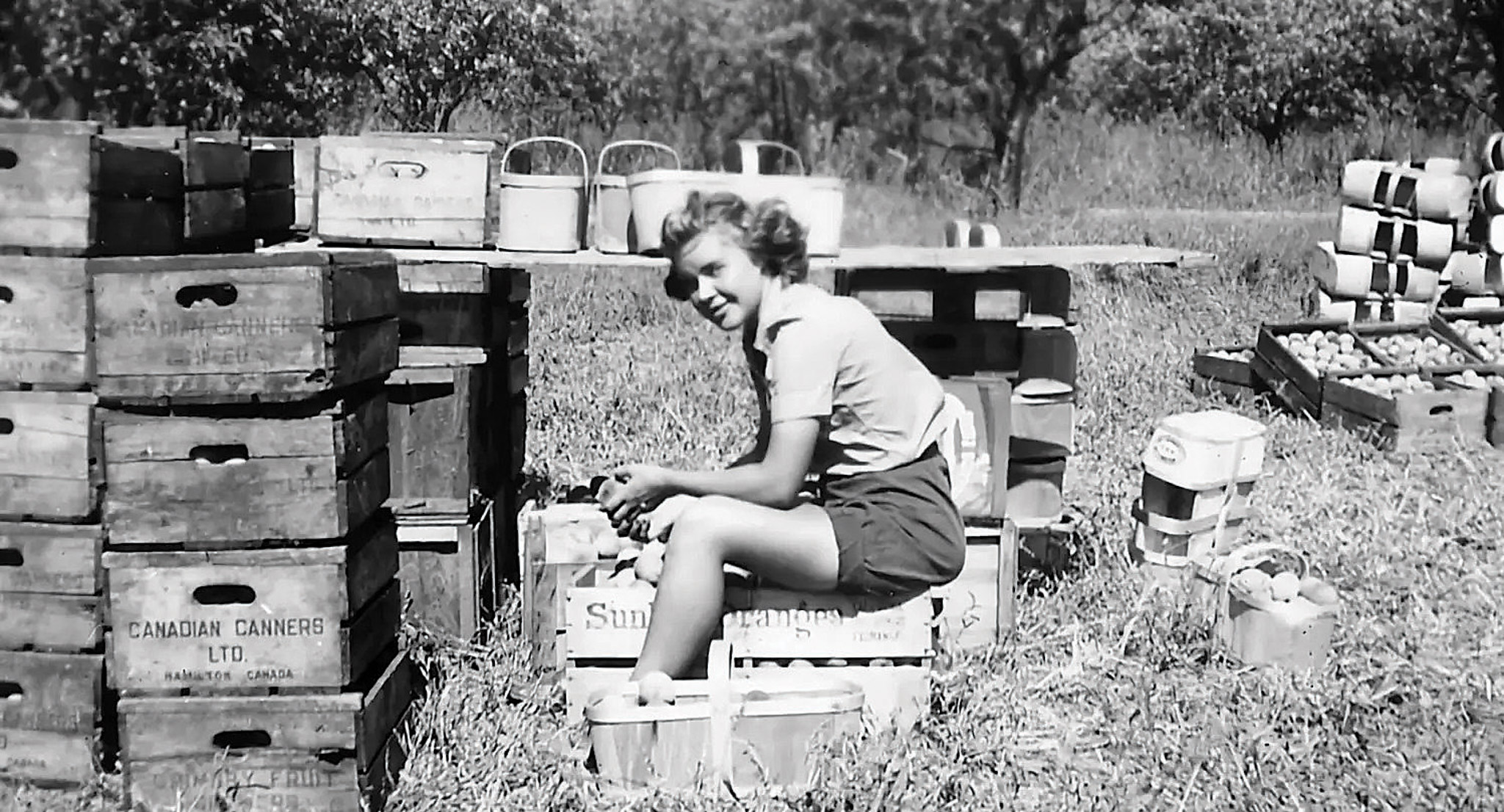 Featured image for REMEMBRANCE DAY: How Farmerettes helped win the war from home