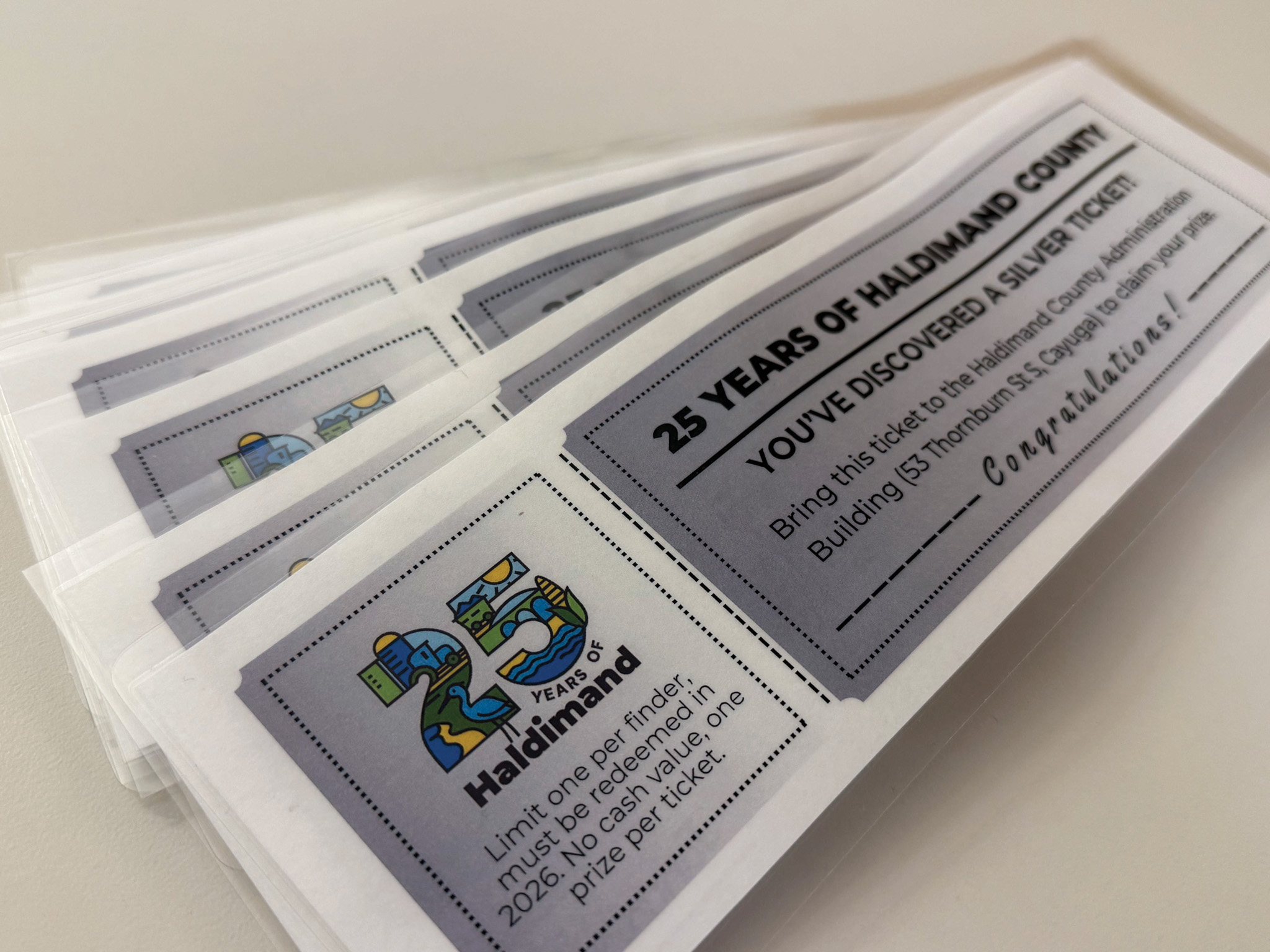 Featured image for Something silver is coming: Join Haldimand County’s 25th anniversary Silver Ticket Challenge!