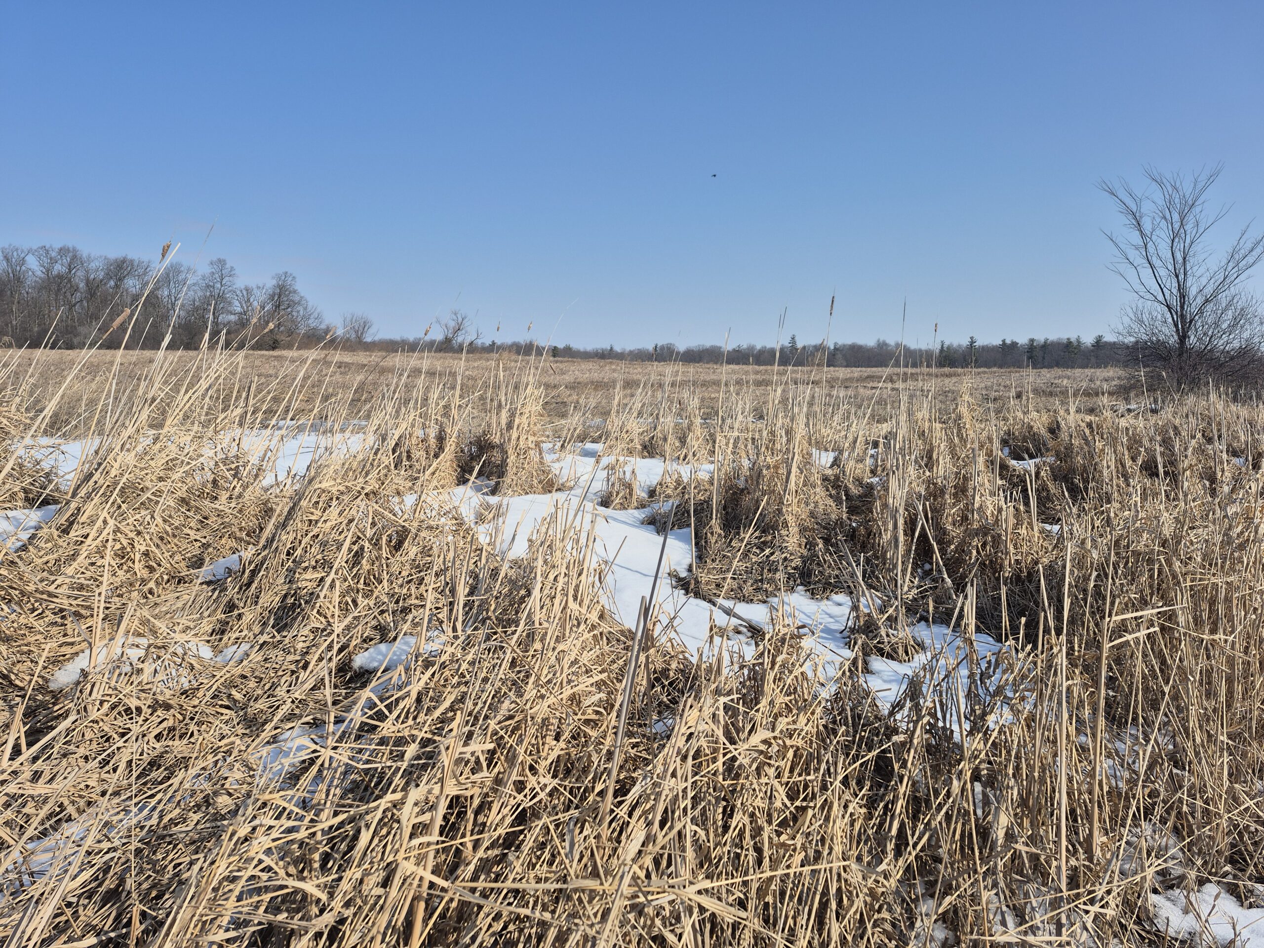 Featured image for Agricultural Advisory Committee presentation to Haldimand Council highlights local impact of industry