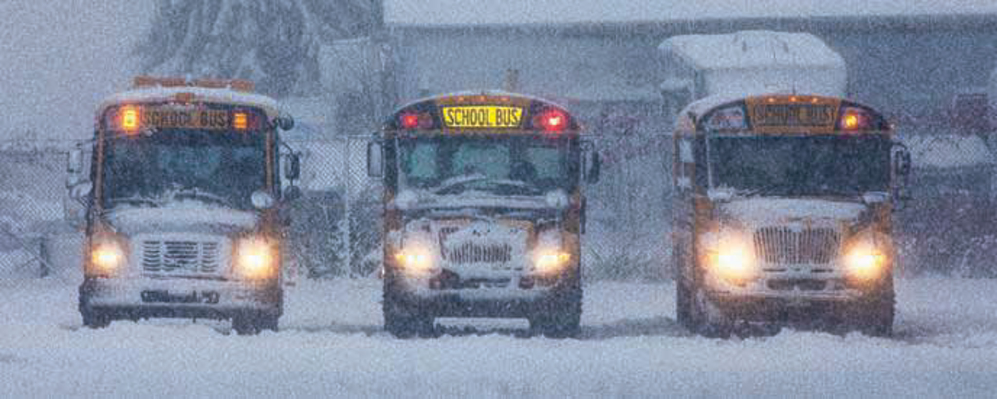 Featured image for School bus lighting pilot in Grand Erie aims to reduce illegal passing