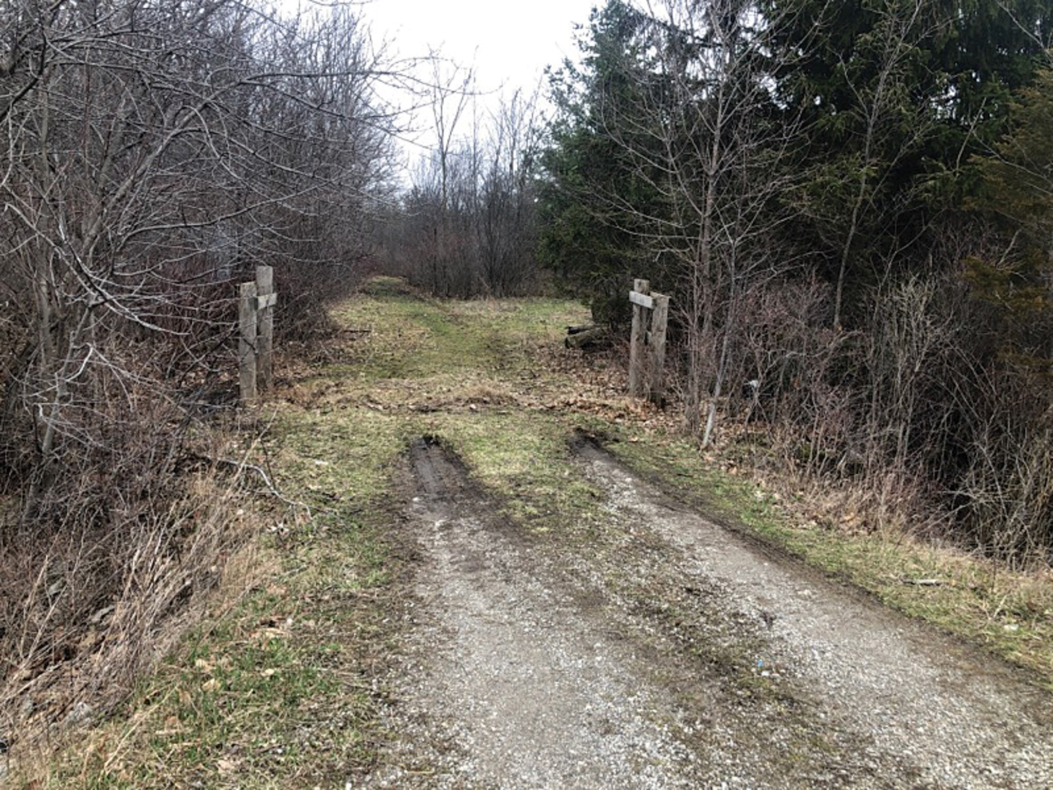 Featured image for Farm gate stolen from White Pine Seed Orchard